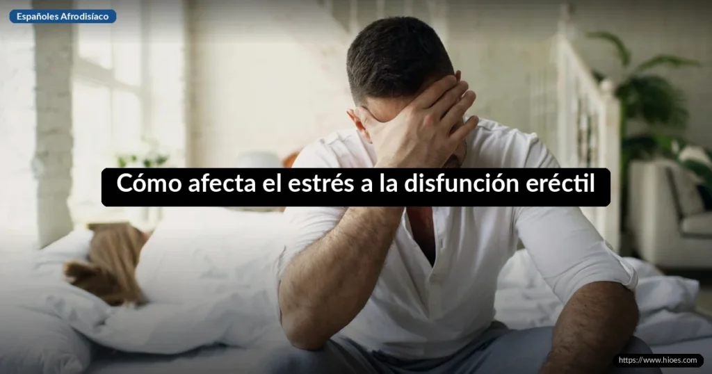 Cómo afecta el estrés a la disfunción eréctil: guía completa 4 Cómo afecta el estrés a la disfunción eréctil