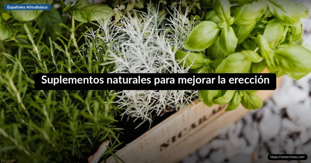 Suplementos naturales para mejorar la erección 8 Suplementos naturales para mejorar la erección